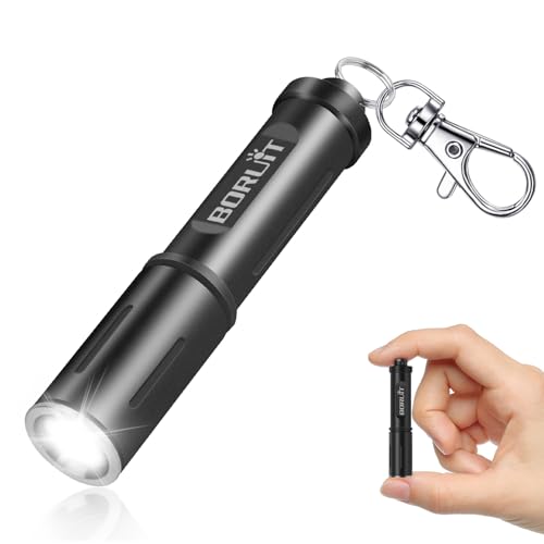 BORUIT RJ11 LED Small Battery Torch 120 lumens, Mini Keyring Torches AAA Battery Powered, IP67 Waterproof, EDC Pocket Flashlights Compact Keychain Light for Camping, Dog Walking