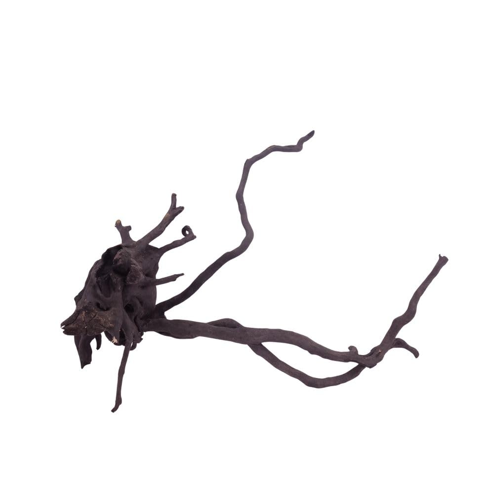 AquaOne XL Black Spider Wurzel Nr.3722 Aquarium Wurzel Holz Deko Aquascaping Dekoration Landschaft Moorkien Moorwood Redwood Mangrove Moos Natur Echtholz