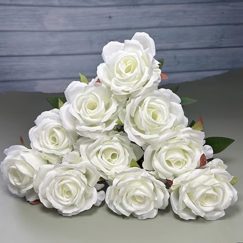  o [Y KN 10{Zbg ԑ o^Cf[ u[P ̓  a Ԍa7cm×42cm JƏjAwjAƏjAЏjAސEjAJXjȂǑlȃMtgɂp܂ (10, zCg)