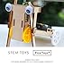 Pica Toys Wooden Wireless Remote Control Rickshaw Robot Pulling Car Creative Engineering Circuit Science STEM Building Kit with Electric Motor - Funny DIY Experiment for Kids, Teens and Adults.