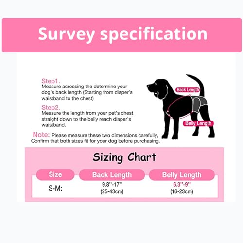 Dzmuero Läufigkeitshose für Hündinnen, Hundewindeln, Hosenträger für Menstruationshosen, Verstellbar und Gute Elastizität (B)