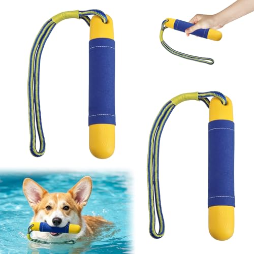 TECHEEL Hundespielzeug Wasserspielzeug Hund 2 Stück Schwimm Spielzeug für Große Hunde mit Nylon Rope Schwimm Spielzeug für Hunde Interaktives Hundespielzeug Schwimmend Hundetraining