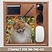 3dRose Purebred Pomeranian sitting among flowers - NA02 PWO0036 - Mouse Pad, 8 by 8 inches (mp_140293_1)