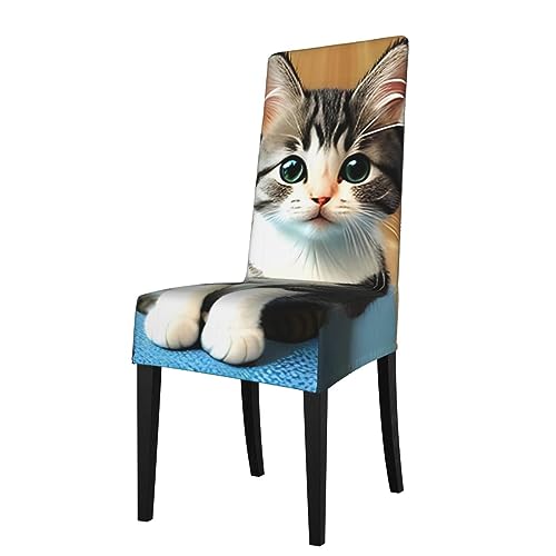 BROLEO Coprisedia rimovibile per sala da pranzo con immagine di gattino, morbido, confortevole, resistente alle pieghe, non necessita di stiratura, estensibile per la maggior parte delle sedie senza