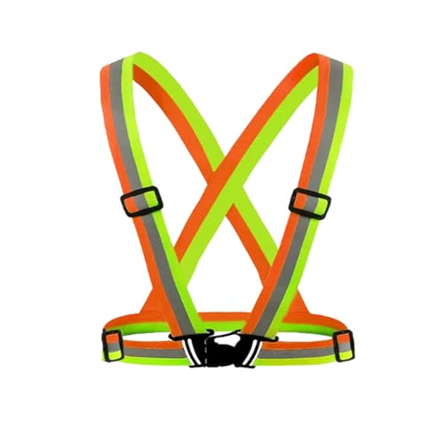 [KQHOMEI]  xXg S F ߉\ IW  ʌx  x U K[h} uxg Hp jp ] oCN I pg[ F 8F (JP, g, 165, CG[Epb`[NEI