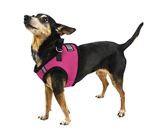 Dogline Boston Step in Mesh Dog Harness with Blind Dog Patch No Choke Pet Vest Soft Gentle Padded Chest Halter for Puppies Small Medium and Large Dogs 27 to 31 inches Girth Hot Pink