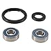 All Balls Racing Inc 25-1745 Wheel Bearing and Seal Kit
