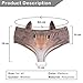 FASHION Store Women's Low Waisted Underwear Funny Naughty 3D Animal Printed Briefs Panties Gifts with Cute Ears (Squirrel,)