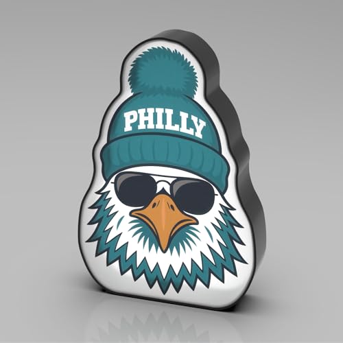 Panneau lumineux LED oiseau de football Allenjoy pour decoration de bureau et chambre ado