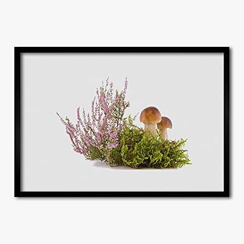Affiche encadrée photo 70x50 cm Tulup Champignons pour décoration murale