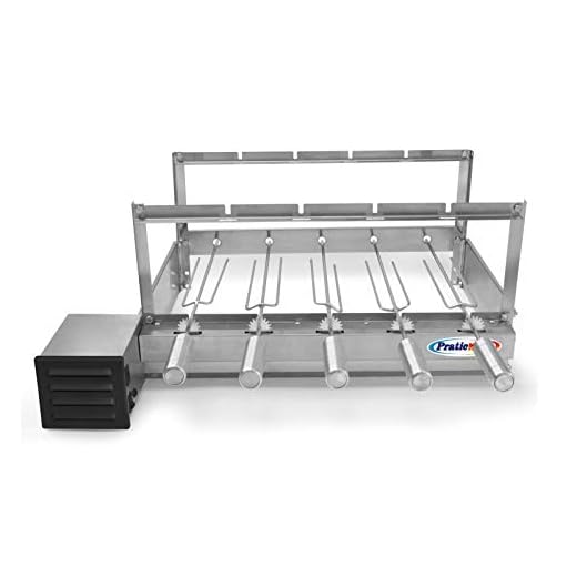 Grill Giratorio Churrasqueira Inox 5 Espetos Motor Weg Bivolt