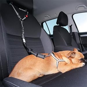   Avernio-Dog-Seatbelt-Fuzzygo-Adjustable-Dog-Car-Safety-Seat-Belt-Leash-Fuzzy-Go-Dog-Seat-Belt-Dog-Seat-Belt-for-Car-Removable-Dog-Seat-Belt-Harness-for-Car-Black