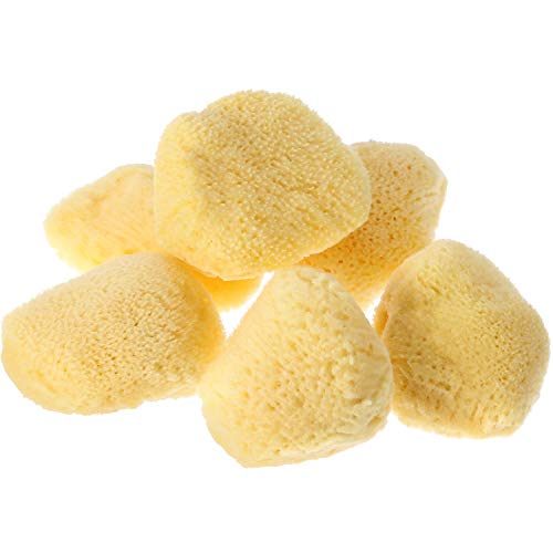 Pangda 6 Pieces 1.5-2.0 Inch Natural Sea Silk Sponges Unbleached for Cosmetic Use, Makeup Application