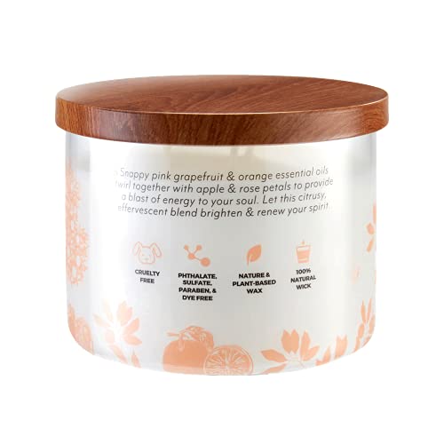 Essential Elements Salted Grapefruit & Pomelo 3-Wick Jar Candle, 14.75 Oz, Off White #TOP1