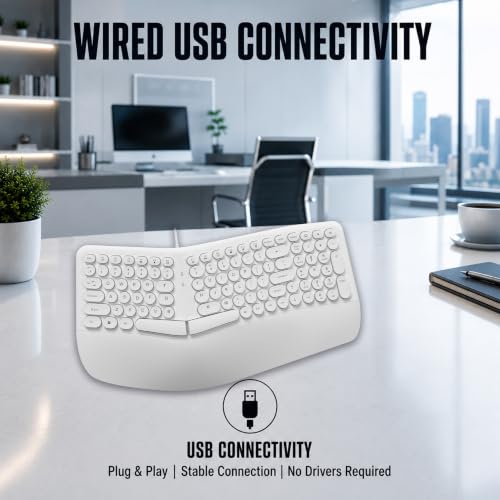 Image of ANT Master 70 Wired USB Keyboard, Full-Size 101-Key Computer Keyboard with FN + 12 Multimedia Shortcut Keys, Smooth Rubber Dome Keys, Anti-Splash Design, 5 Million Keystrokes, Windows & Linux - White