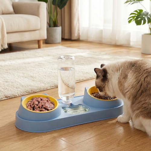 Distributeur d'eau et double gamelle pour chat avec support et cuillères