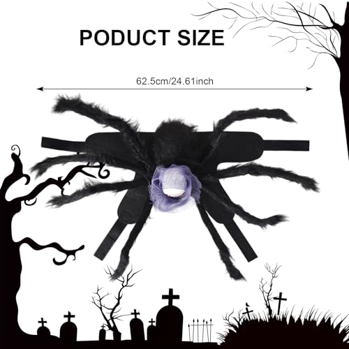 Halloween Spinne Kostüm für Hund Katze, Lila Schädel Kostüm für Hunde und Katzen, Cosplay Spider Kostüme für Hunde und Katzen, Haustierkostüm für Halloween Cosplay (M)