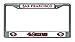 Rico Industries NFL San Francisco 49ers Standard Chrome License Plate Frame