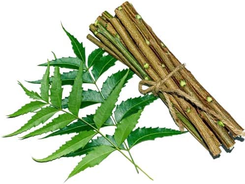 OMC Natural Neem Stick(10pcs) datun Brush for Strong Teeth neem datun no germs 6 inch (10 pcs)