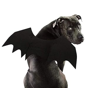 Rypet Hund Fledermaus Kostüm Halloween Haustierkostüm