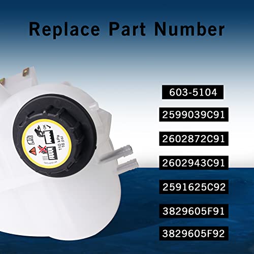 Depósito de refrigerante del motor International Harvester 2002-2018 recambio 603-5104 resistente 3