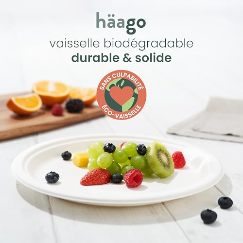 Assiettes compostables 26 cm HAAGO : l'accessoire idéal pour vos fêtes, BBQ et traiteurs
