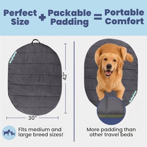 Image of Travel Dog Bed (42 inch x 30 inch) - Foldable & Packable for Travel, Road Trip, Camping - Lightweight, Water Resistant & Cozy Soft Padding - Compact, Portable & Machine Washable - Medium & Large Breeds: Black