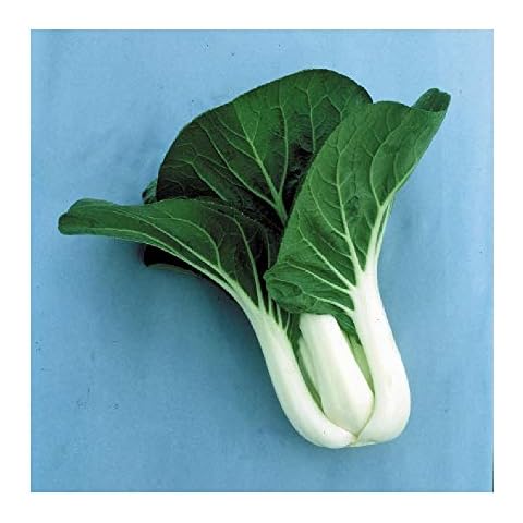 Suffolk Herbs Pak Choi F1 Seeds Cover