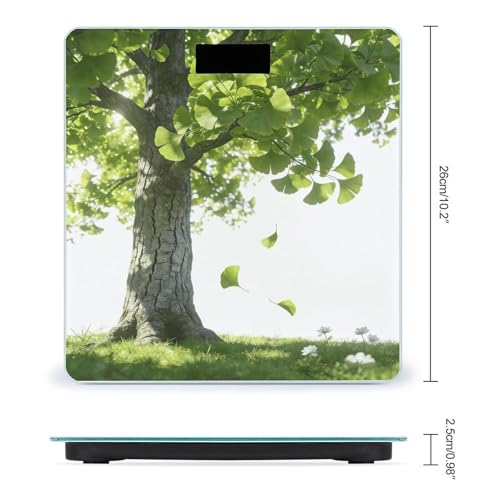 Balanza Digital de Baño VstaDank con Vidrio Templado miniatura 2