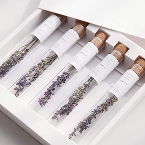 Image of KKOKDAM Premium Flower Tea Stick Collection (Single Korean Mint (5 Sticks))