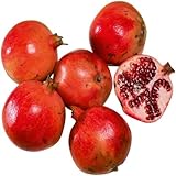 Frisches Obst und Gemüse