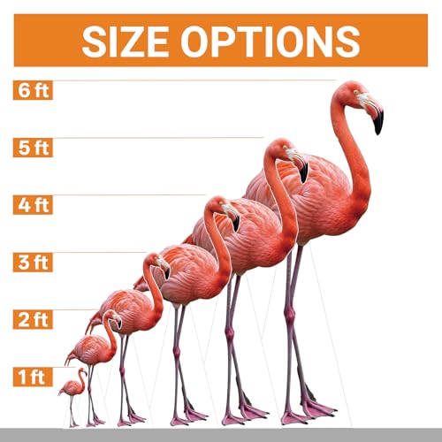 Image of Flamingo 1FT Life Size Cardboard Cutout Standup for Party, 1 PC | Flamingo Cardboard Cutout for Party Decor, Birthday Events, Photo Props, Home Decor, Carnival & Holiday Themes