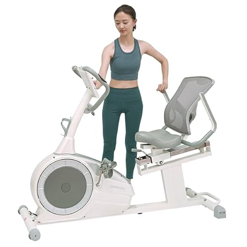 DAIKOU リカンベントバイク DK-301RP