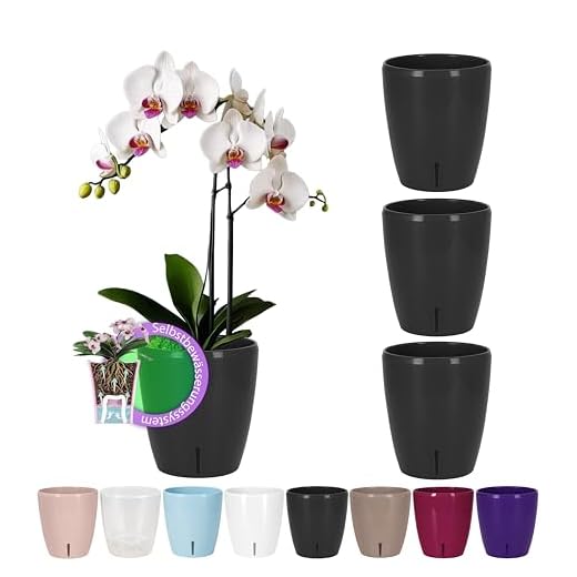 ORIMERC 15 Stück 10,2 cm Netz-Töpfe mit 6 m Hydrokultur-Docht selbstwässernder Docht für Aquaponik Eimer, Einsatz Orchidee, Kratky, Gemüse, Garten, Anbau, Netzkörbe, Schlitz, Netz, breiter Rand 6 SANTINO 4er-Set Selbstbewässernder Topf mit Dochtsystem und Wasserstandsanzeige für den Innenbereich, Orchideentopf D 15cm (Anthracite, 2L)