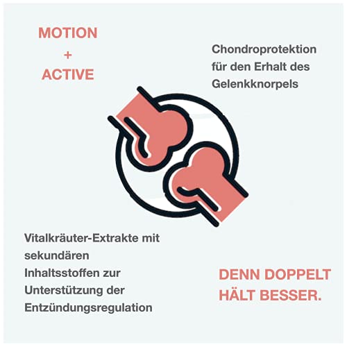 CaniMove Arthrose (Osteoarthritis) - Bundle: je 100 Tabletten Motion Maxi Plus Active Maxi