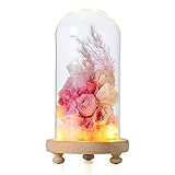 NCYP Glass Dome with Wood Base LED Light Round Bell Jar Clear Cloche Display Case for Rose Flowers Home Or Office Tabletop Decoration Valentine's Day Wedding Centerpiece DIY (Small D3.5 x H7.1)