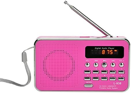 IOIOA Fm Radio/Digital Audio Player, Mini FM Radio Digital Portable Stereo Speaker MP3 Audio Player Display Screen Support USB Drive AUX TF Card