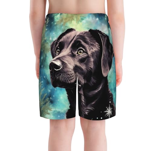 Boys Board Shorts Beach Swim Trunks Quick Dry Swimwear Kids Youth, Dog Weed Stars Art4