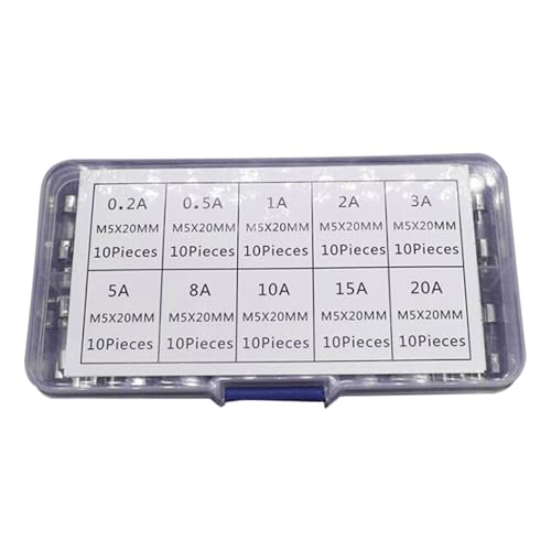 Juego de 100 pistas de cristal rápidas, 10 tubos de tamaño, surtidos, 100 unidades, 5 x 20 mm, 1 caja para empresas domésticas, fusibles de cristal