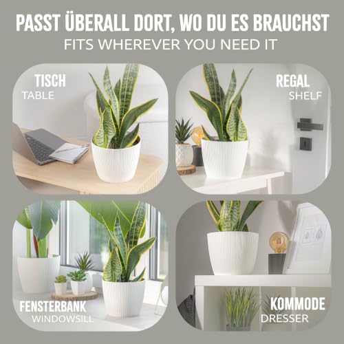 PECZEKO Blumentopf matt, Pflanzkübel aus Übertopf Kunststoff Deko Topf für, groß und klein Set Pflanzen 2X blumenkübel Set… – Ansicht 4