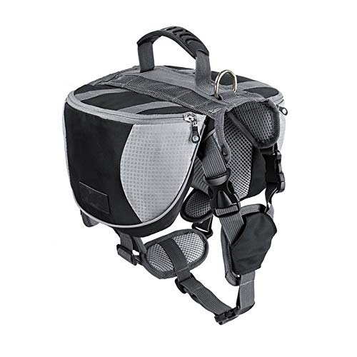 Best 7 Backpacks For Dogs 2024 Dog Fluffy