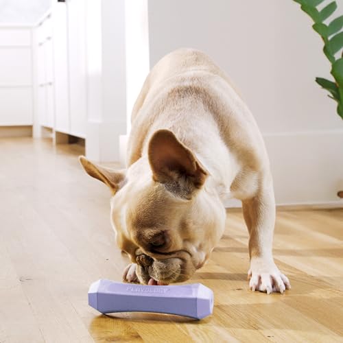 Playology Squeaky Chew Stick - Scented Dog Toy - Medium, Lamb Scent | Rubber Construction, All Natural Scent, Durable Design - Image 4