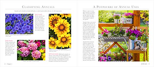 Publications International, Ltd. Publications International Ltd. Flowers: A Guide To Annuals thumb #3