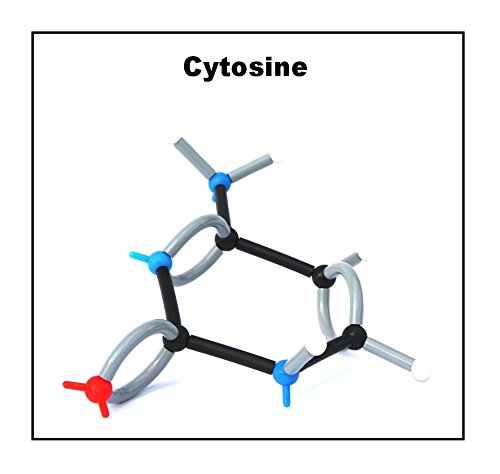 Organic Chemistry Molecular Model Set (140 Pieces) #TOP6