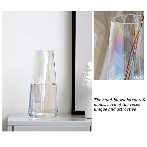 FANTESTICRYAN Modern Glass Vase Irised Crystal Clear Glass Vase for Home Office Decor (Neon Clear)