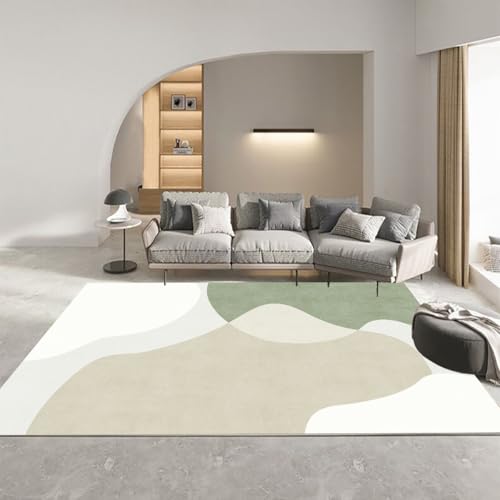 �uFrisence�v�􂦂� ���O �J�[�y�b�g �}�C�N���t�@�C�o�[ �ӂ��� ����~�� �h�� �h�� ���g�[&�z�b�g�J�[�y�b�g�Ή��Ή� �V���v�� ���r���O �Q�� �q������ 120×160cm FRISY35-D51