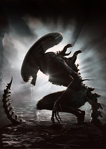 Amazon.co.jp: ポスター/スチール 写真 チラシ アクリルフォトスタンド