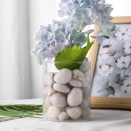 Domestar HR2701 2.7Lb Natural River Rocks, Polished Pebbles Garden Decorative Stones For Landscaping Garden Plants Outdoor Indoor thumb #4