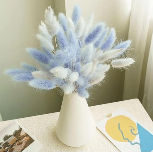 Pampas Grass Decor Tall 60Pzs Flores Secas miniatura 5