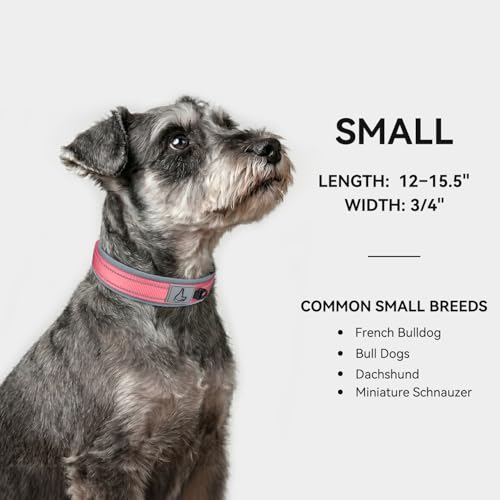 Image of Joytale Dog Collar for Small Dogs, Neoprene Padded and Adjustable, Reflective Wide Heavy Duty Pet Collars with Durable Metal Belt Buckle for Walking, Pink, S